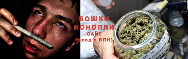 mdpv Бородино