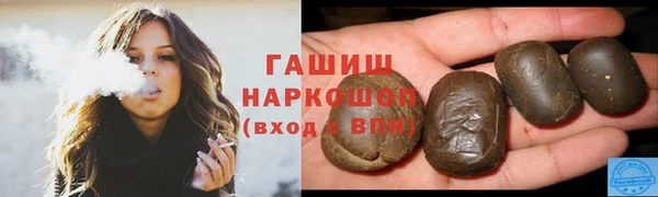 mdpv Бородино