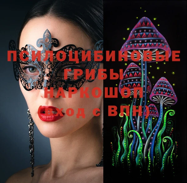 mdpv Бородино