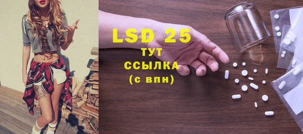mdpv Бородино