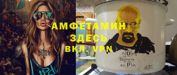 mdpv Бородино