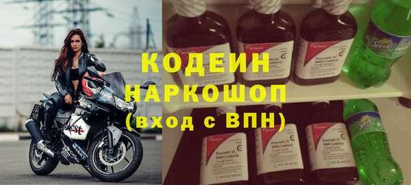 mdpv Бородино
